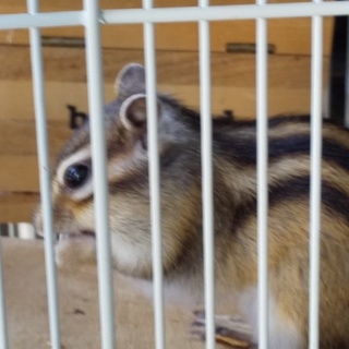 くるくると元気な女の子