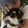 ごま}