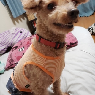 残りの人生を一緒に過ごしてあげてください