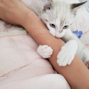 今日のルーク(=ﾟωﾟ=)ぎゅっ