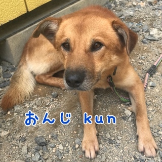 おんじ kun  ⭐️ 甘えん坊❤️