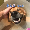 おんじ kun  ⭐️ 甘えん坊❤️ サムネイル2