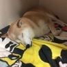 いつも…ごめんね(._.)
