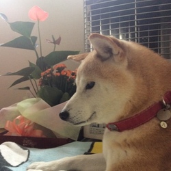 「いつも…ごめんね(._.)」サムネイル2