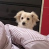 ちいーちゃん