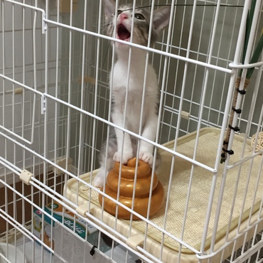 の写真