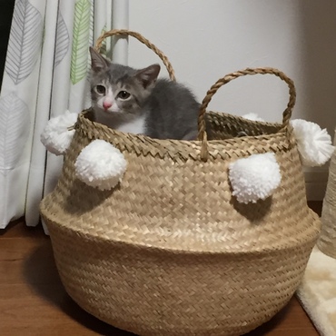 の写真
