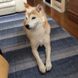 「いつも…ごめんね(._.)」サムネイル3