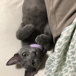 「生後3ヶ月がすぎました」サムネイル2