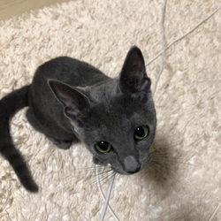 「生後3ヶ月がすぎました」サムネイル3