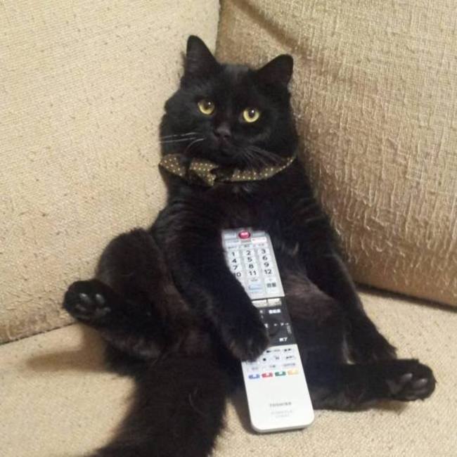 PumpkinRideのカバー写真