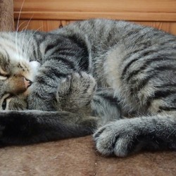 子育て終わって　ノンビリ