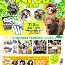 犬Fes －いぬフェス－