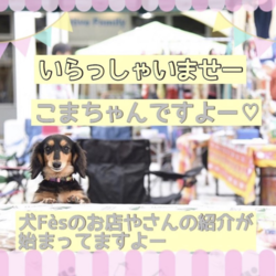 犬Fes －いぬフェス－ サムネイル2