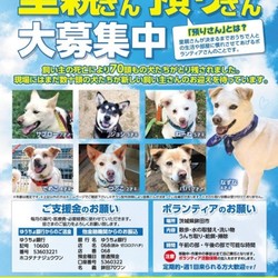 犬Fes －いぬフェス－ サムネイル3