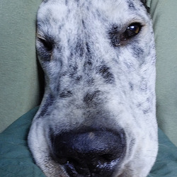 ヘン顔って大好きさっ！