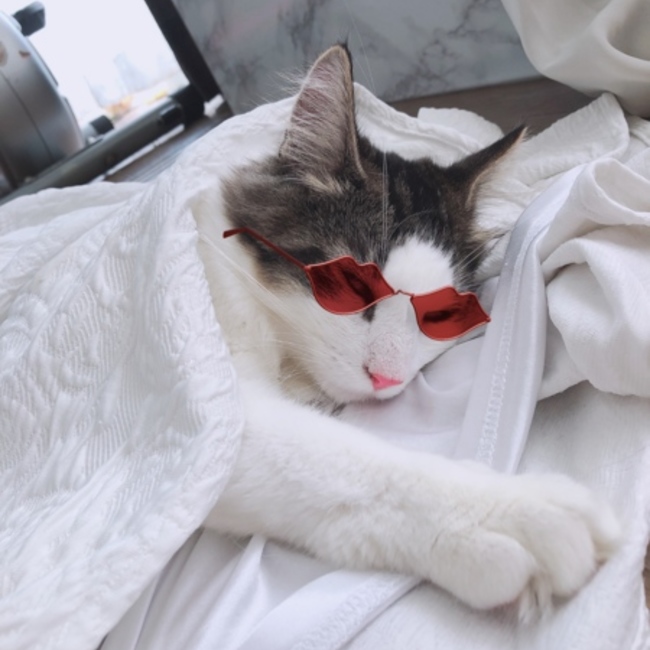 うさこ♡のカバー写真