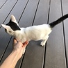 人が大好きな甘えん坊❤️ サムネイル2