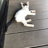 人が大好きな甘えん坊❤️ サムネイル3
