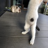 人が大好きな甘えん坊❤️ サムネイル5