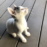 人が大好きな甘えん坊❤️ サムネイル6