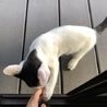 人が大好きな甘えん坊❤️ サムネイル7