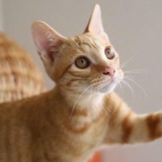 慶♡9/14～トライアル中です。