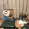 箱の順番待ち
