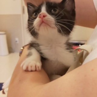 これぞ天真爛漫！