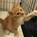 良いご縁がありました！