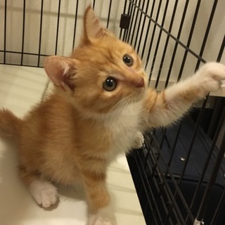 良いご縁がありました！