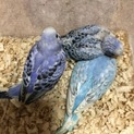 交渉中です