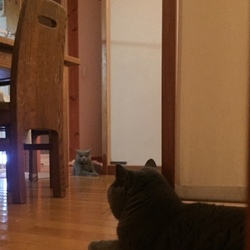 里子ちゃん 5日目 で なんとなく