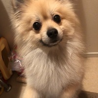 小鉄