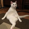 の写真