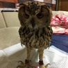 の写真