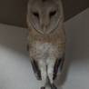 の写真
