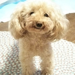 多数のご応募頂きありがとうございます