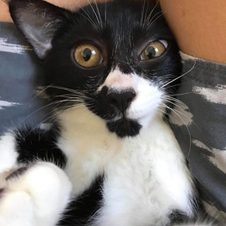 ありがとうございました