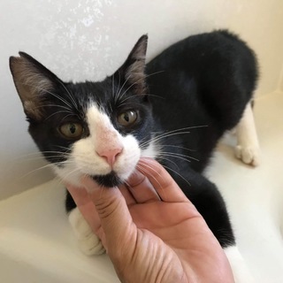 ありがとうございました