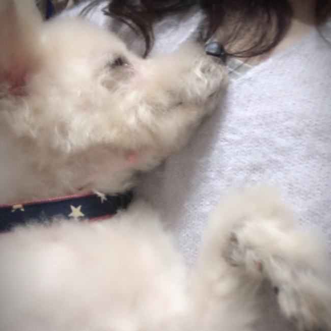 まゆ1210のカバー写真