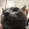 なつめ