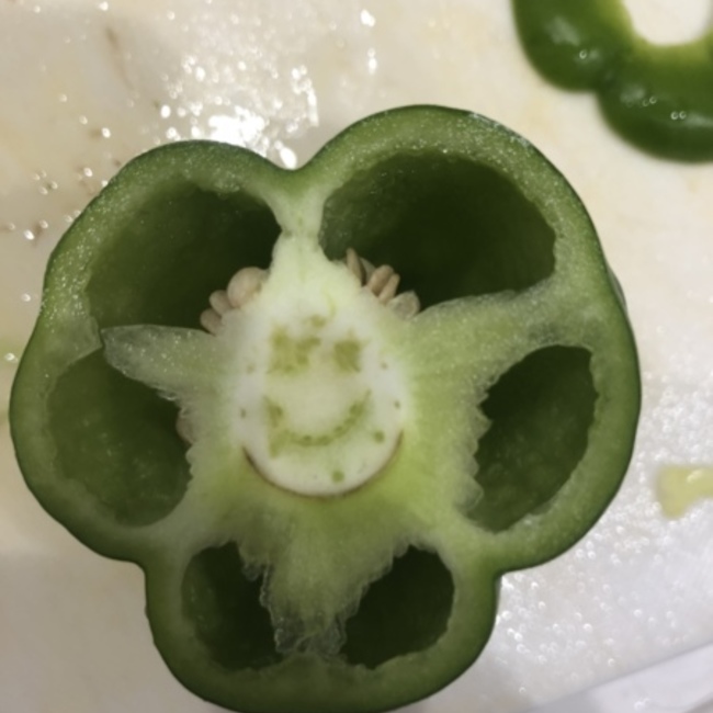 sylpheedのカバー写真