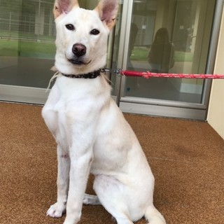 ◆ここから出して◆とても美しい”ちひろちゃん”