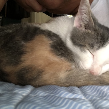 生まれて３ヶ月半、かなりデカくなりました