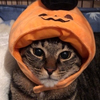 ティト