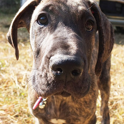 一年前はちっちゃかったんだぜ！