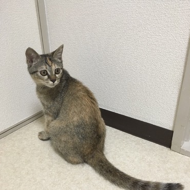 の写真