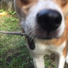 の写真