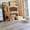 ねこ部屋